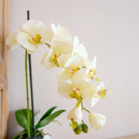 ヴィッラシミーウス La Rosa Dei Venti Bed & Breakfast エクステリア 写真